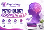 How to Write a High-Quality Psychology Assignment: A Practical Guide for UK Students
