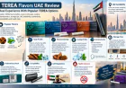 TEREA Flavors UAE Review: Real Experience With Popular TEREA Options