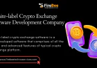How Developers Customize White Label Crypto Exchange Software Development Company