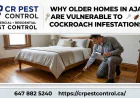 Why Older Homes in Ajax Are Vulnerable to Cockroach Infestations