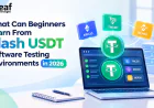 What Can Beginners Learn From Flash USDT Software Testing Environments in 2026