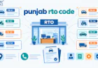 Check Complete List of Punjab RTO Code  Address