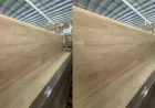 Choosing the Right Wood For a Butcher Block: Hardwood vs. Softwood