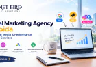 Digital Marketing Agency in Noida – SEO, Social Media & Performance Marketing