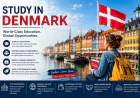 What Are the Benefits of Studying in Denmark?