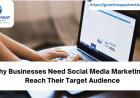 Why Businesses Need Social Media Marketing to Reach Their Target Audience