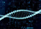 Non Viral Transfection Reagents Market Size, Share, Trends, and Growth Forecast 2026-2033