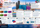 TEREA Japan UAE: Expert Guide to Japanese TEREA Flavors and Varieties