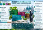 TEREA Menthol Flavors UAE: Complete Guide to Cooling Flavors and Choices