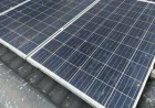 Fast, Emergency Solar Panel Bird Proofing Melbourne Solutions | Tom's Pest Control Melbourne