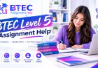 BTEC Level 5 Assignment Help: A Complete Guide for UAE Students