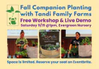 Fall Companion Planting Workshop | Evergreen Nursery