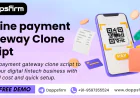 Monetize Digital Transactions with an Online Payment Gateway Clone Script & Free Demo