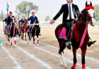 Birla School Pilani: A Trusted Choice for Quality Education