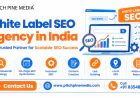 How Can White Label SEO Help Your Agency Grow?