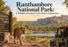 Ranthambore National Park: A Wildlife Adventure in the Heart of Rajasthan