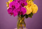 How Orchid Flowers Make A Sophisticated Statement For Special Occasions