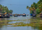 Kerala Tour Package: Explore Munnar, Alleppey, Kochi & Thekkady