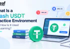 What Is a Flash USDT Practice Environment and How Is It Used for Learning?