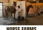 What Services Can You Expect From Horse Farms in Ocala, Florida?