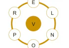Today's Spelling Bee Answers: Daily Hints, Solutions & Pangram