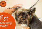 What Should You Look For in a Pet Grooming Mirdif Service?