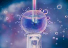 Frozen Embryo Transfer Cost in India: What Does the Treatment Include?