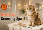Could a Mirdif Cat Grooming Spa Be the Right Choice for Your Cat’s Grooming Routine?