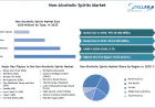 Non-Alcoholic Spirits Market Trends Highlight Growth in Premium Alcohol-Free Drinks