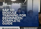 SAP SD Module Training for Beginners: Complete Guide - GTR Academy