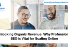 Unlocking Organic Revenue: Why Professional SEO is Vital for Scaling Online