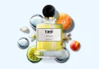 The Role of Patchouli in Chypre Spicy Fragrance Blends