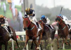 10 Ways Horse Racing Speed Ratings Can Improve Race Analysis