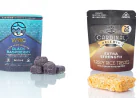 Understanding the Effects of CBN Gummies and Other Edibles