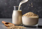    Oat Protein Market Size, Trends, Growth, and Strategic Outlook 2026-2033
