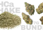 Hash Infused Prerolls vs High THCa Flower: Which One Fits Your Tolerance?
