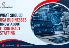 What Should USA Businesses Know About IT Contract Staffing