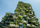 Green Building Materials Shaping Sustainable Construction