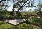 How Native Landscaping Supports Charleston’s Local Wildlife