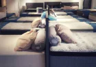The Role of Upholstered Headboards in Contemporary Bedroom Design