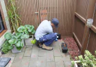 Depends on the Right Approach: Tom's Pest Control Adelaide for Pest Management