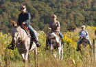 Things to Do in the Catskills: A Year-Round Guide to Delaware County, NY