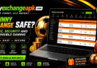Funny Exchange – Explore the Latest Online Platform