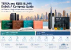 TEREA and IQOS ILUMA Dubai: A Complete Guide to Flavors, Regional Variants and Pods