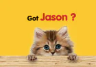 Choosing the Right Cat Litter Size | Jason Cat Litter