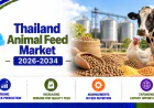 Thailand Animal Feed Market 2026–2034: Precision Nutrition & Sustainable Feed Gain Traction