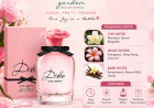 Dolce and Gabbana Perfume: A Guide to Timeless Fragrances