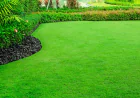 Tree Cutting West Pennant Hills and Thornleigh: A Guide to Safe Tree Removal and Pruning
