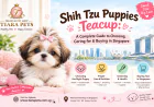 Shih Tzu Puppies Teacup: A Complete Guide to Choosing, Caring for & Buying in Singapore