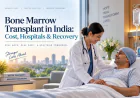 Bone Marrow Transplant in India: Process, Types, Costs, and Recovery